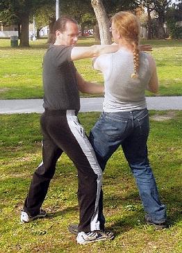 An Unbiased Perspective on the Quarrel Between Hema and Bujutsu Aficionados