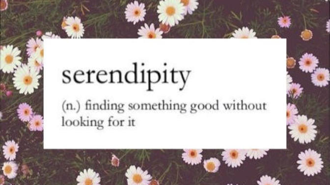 ❀ Serendipity ❀
