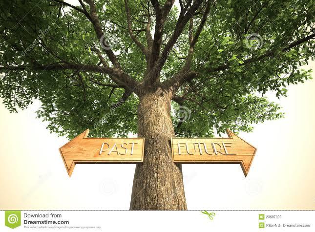 Find Your Birthday and Then Find Your Tree...Is It Accurate?