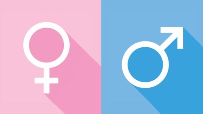 Gender is a Social Construct Pt.2- Who Defines it and How?