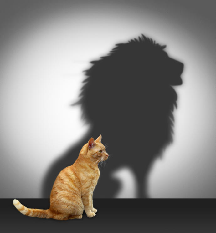 The Gift Of Confidence