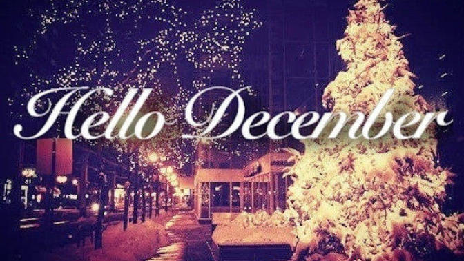 Festive Holiday Colour Themes for Christmas!