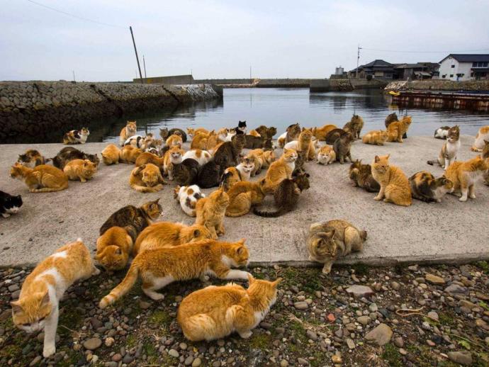 Places You Probably Never Knew Existed