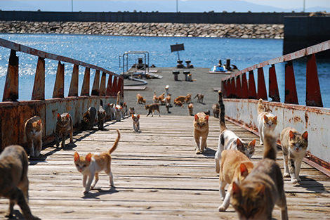 Places You Probably Never Knew Existed