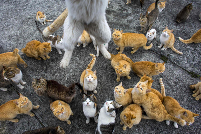 Places You Probably Never Knew Existed