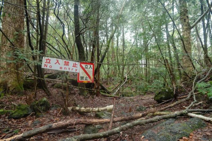Places You Probably Never Knew Existed