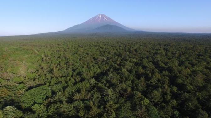 Places You Probably Never Knew Existed