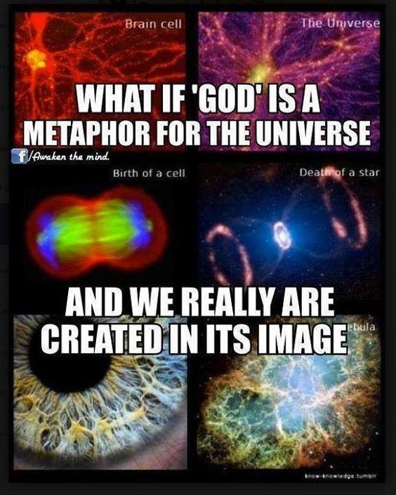 The New Earth. Eternal Life. And What Will We Do.