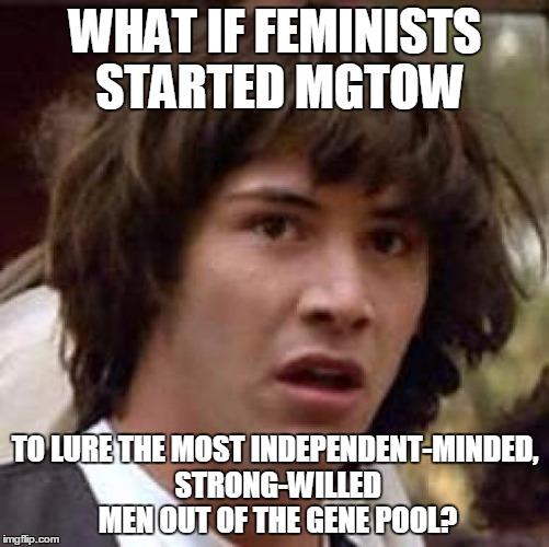 MGTOW is Largely Misunderstood by the Opposite Gender