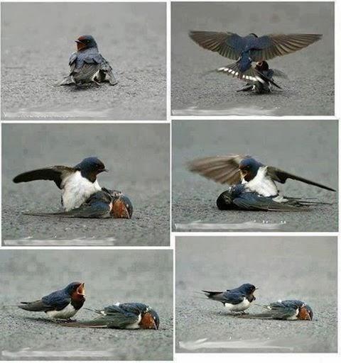 I Am Angry...Here's Why (Warning: This Will Get Controversial!)