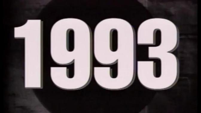 The Year Was 1993