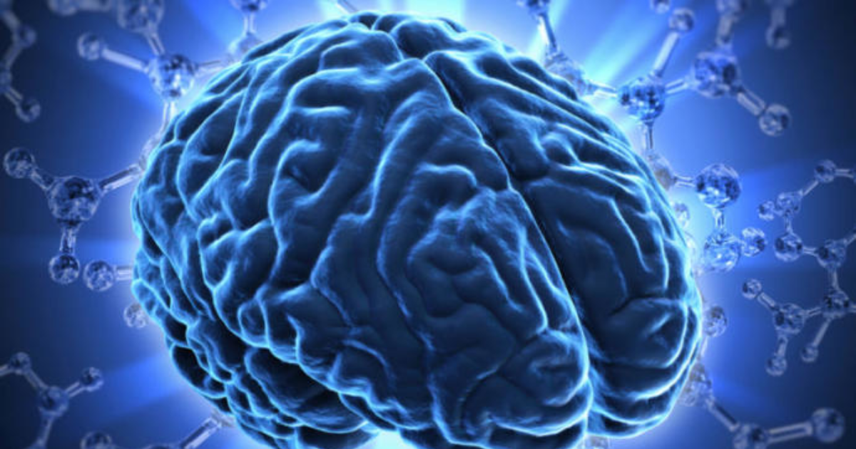 Of Brains and Buckets GirlsAskGuys