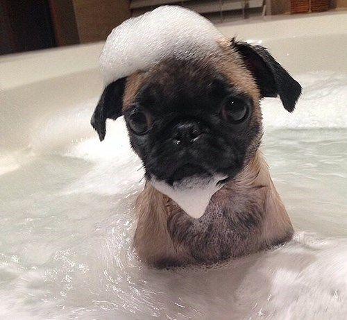 National Bubble Bath Day - January 8th