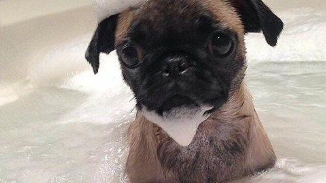 National Bubble Bath Day - January 8th