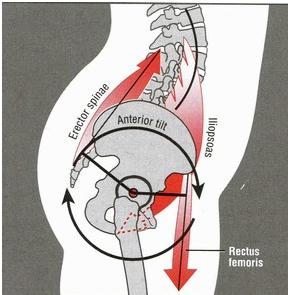 You're Probably Sitting Too Much and This is Why it's Bad for You