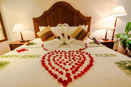 Pets - Naming your pet!!