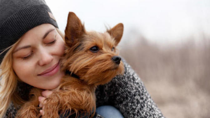 Pets - Naming your pet!!