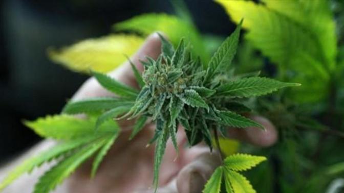 Marijuana Shouldn't be Legalized