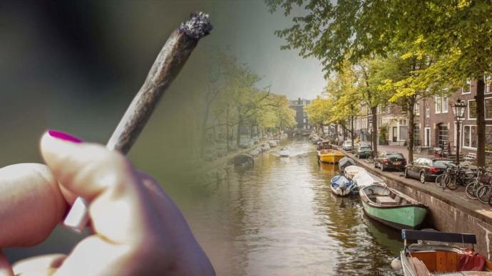 Marijuana Should be Legalized (Part 2)