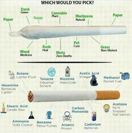 Marijuana Should be Legalized (Part 2)