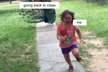 10 Things That Never Fail to Hit When School is Back in Session