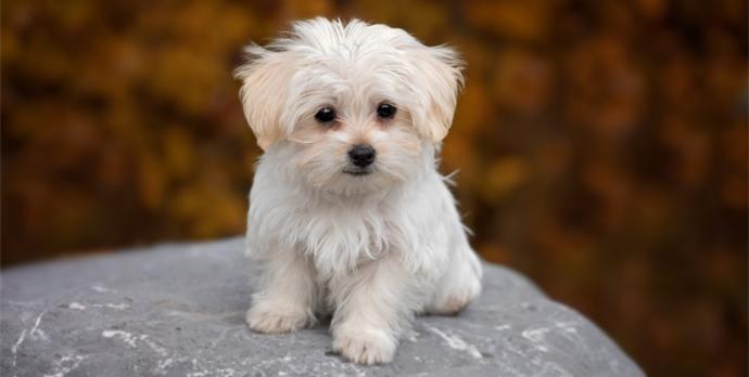 The Power of Words & the Search for God