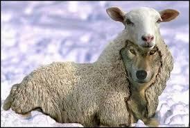 Are You a Good Person?