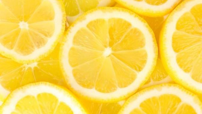 The Year of the Lemonade Stand