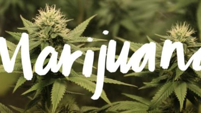 San Francisco Dropping Marijuana Convictions