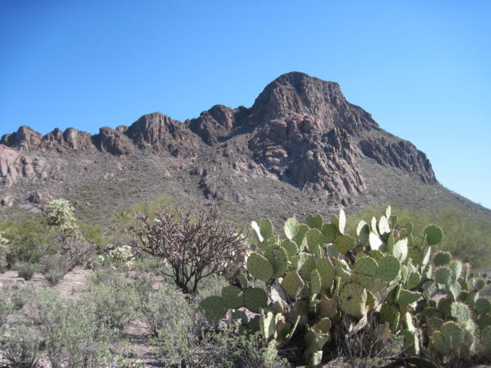 Urban Legends of America: Part 3, Some From Arizona