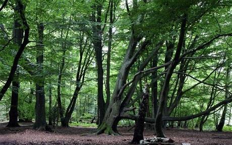 What Are You Afraid Of? 10 Strange Phobias That Actually Exist