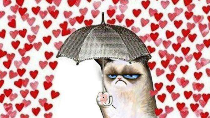 For Singles, How to Cope Now That the Wondrous Valentines Day is Coming... 