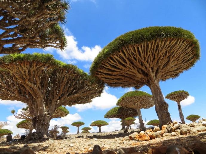 Places That Have a Otherworldly Ambient to Them