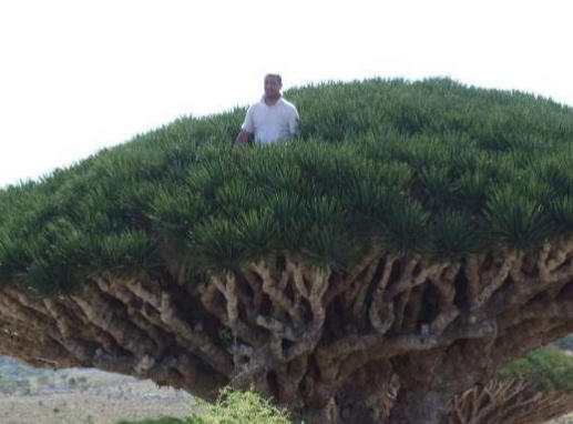 Places That Have a Otherworldly Ambient to Them