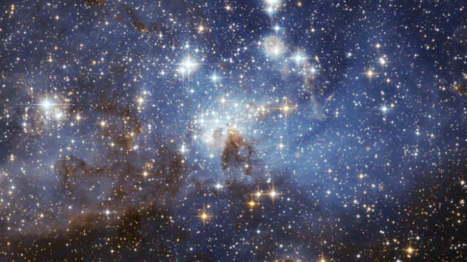Irrationally Science: Star of the Show!!