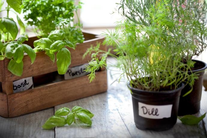 Make the Most Out of Your Apartment