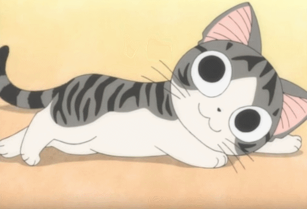 5 Little Things That Make My Day Better