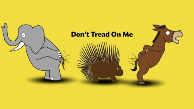 Why I Chose Libertarianism as my Party of Choice