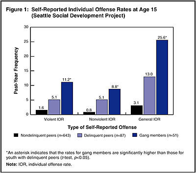 Peer Influence on Deviant Behavior in Youth