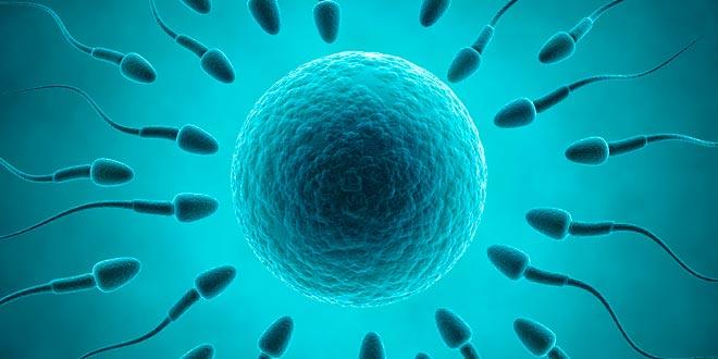5 Reasons Why Homosexuals Are Beneficial To Society