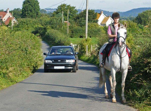 Are Horses Better Than Cars?