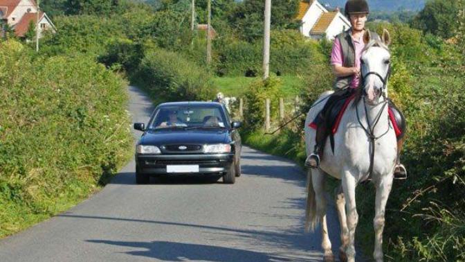 Are Horses Better Than Cars?