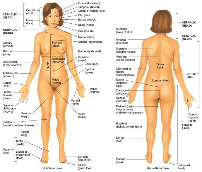 Why Athiestism Will Always Remain Far More Less Common Globally.