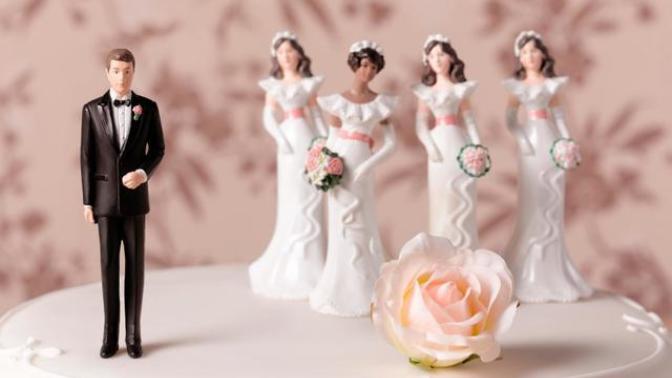 Humans May be Monogamous on the Outside But We're Polygamous on the Inside