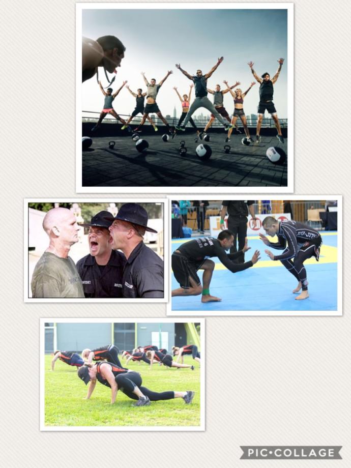 The hypothetical Utopian precaution to end mistreatment in mental institutions/asylums