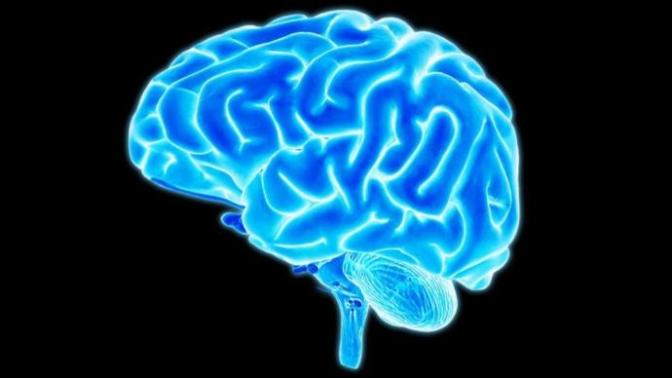 Life with Epilepsy