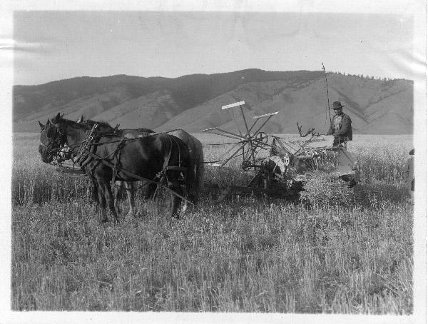 The 2nd Amendment is and Should Remain a Citizen's Right!