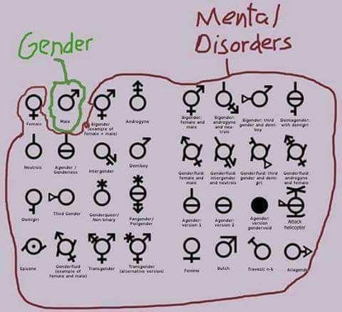 Memes Should Make Us Laugh, Not Shame Others!