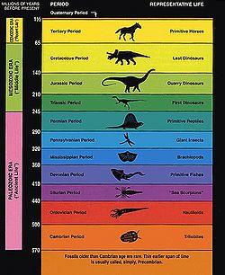Creationism V Evolution