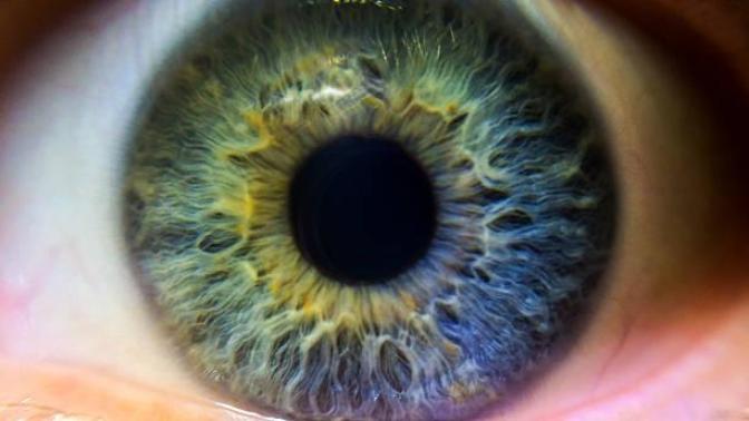 My Opinion on Colour Blindness